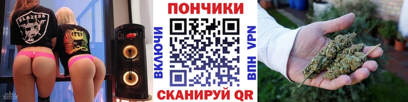 Купить закладки  Гудермес  МАРИХУАНА сатива 